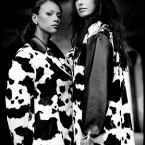 mlr_cow_velvet