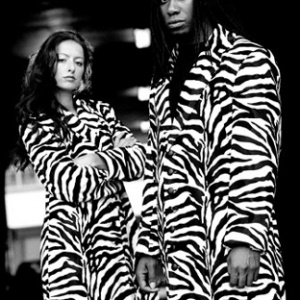 mlr_zebra