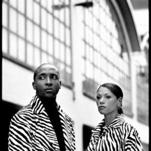mlr_zebra_velvet